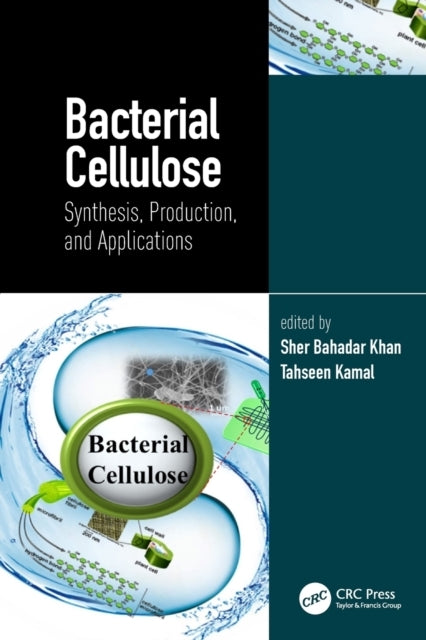 Bacterial Cellulose Synthesis, Production, And Applications