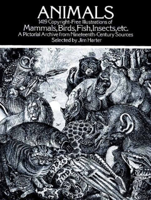 Animals49 Copyright-free Illustrations of Mammals Birds