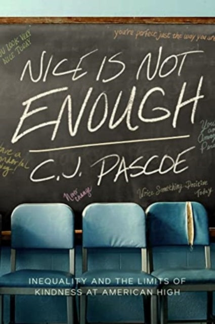 Nice Is Not Enough Inequality And The Limits Of Kindness At