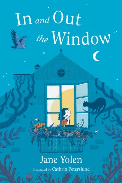 In and Out The Window
