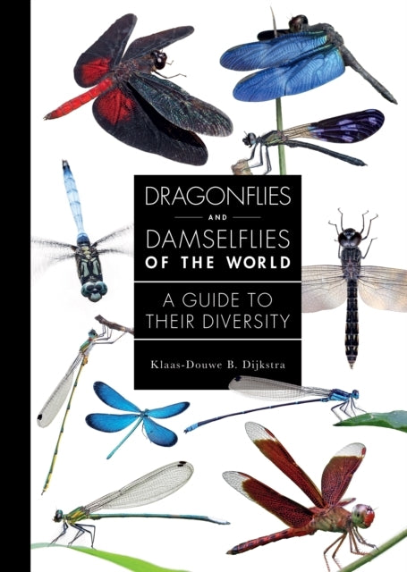 Dragonflies And Damselflies Of The World A Guide To Their Di