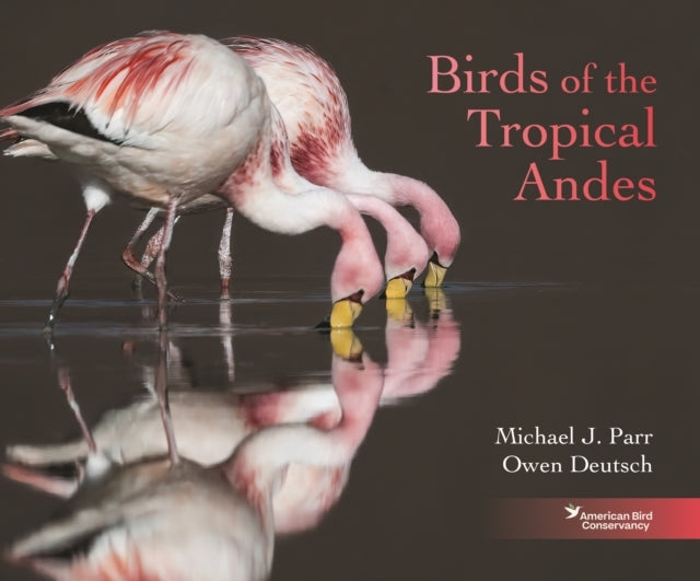 Birds Of The Tropical Andes