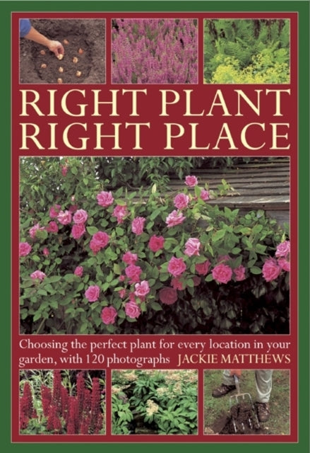 Right Plant Right Place Choosing The Perfect Plant For Every