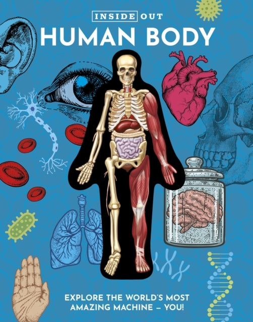 Inside Out Human Body Explore The World'S Most Amazing Machi
