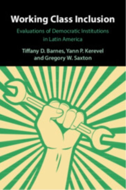 Working Class Inclusion Evaluations Of Democratic Institutio