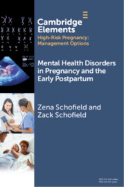 Mental Health Disorders In Pregnancy And The Early Postpartu