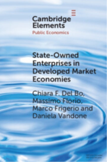 State-Owned Enterprises In Developed Market Economies Theory