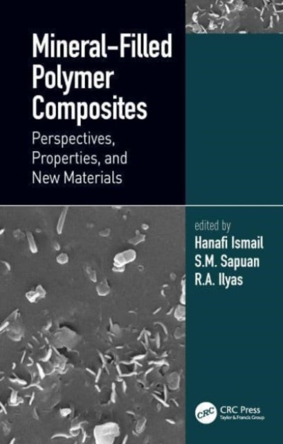 Mineral-Filled Polymer Composites Perspectives, Properties,
