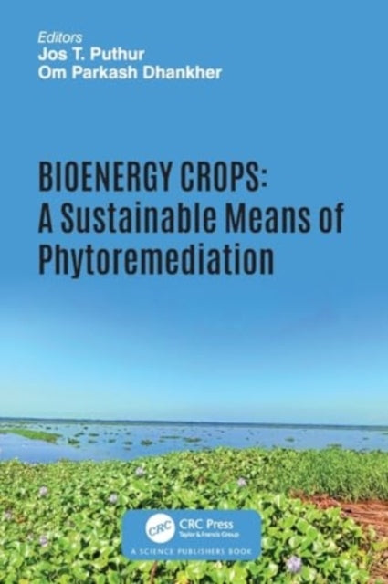 Bioenergy Crops A Sustainable Means of Phytoremediation