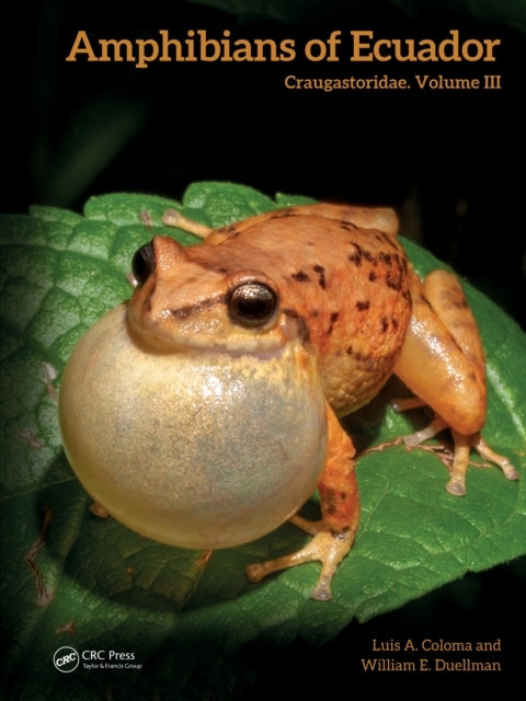 Amphibians of Ecuador Craugastoridae