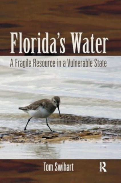 Florida's Water A Fragile Resource In A Vulnerable State