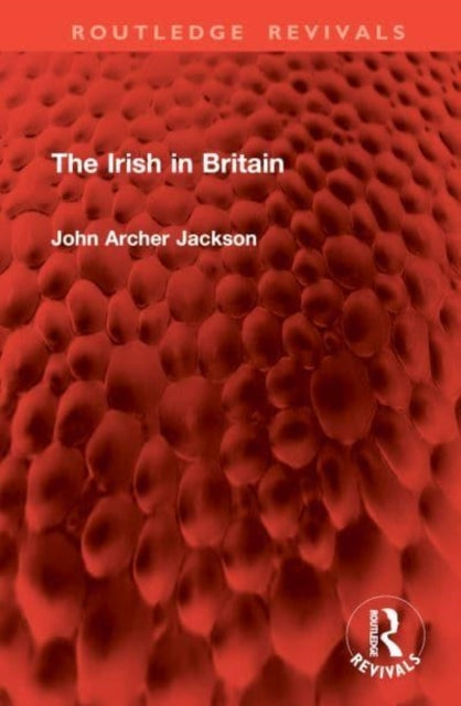 The Irish In Britain