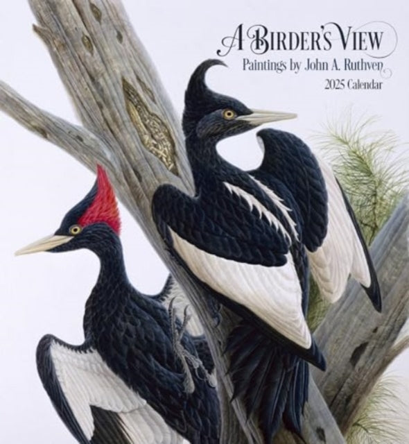 A Birder'S View Paintings By John A. Ruthven 2025 Wall Calen