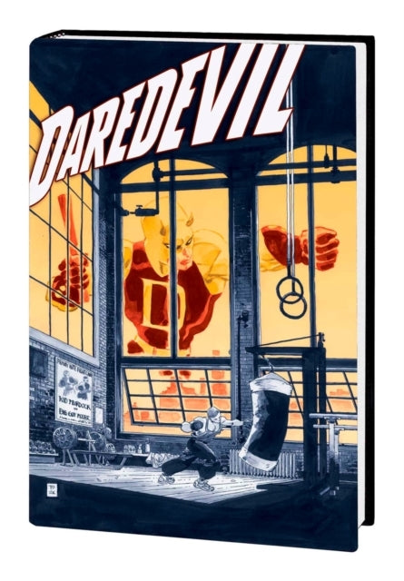 Jeph Loeb & Tim Sale Daredevil Gallery Edition