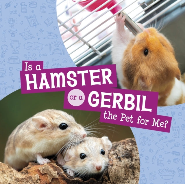 Is A Hamster Or A Gerbil The Pet For Me?
