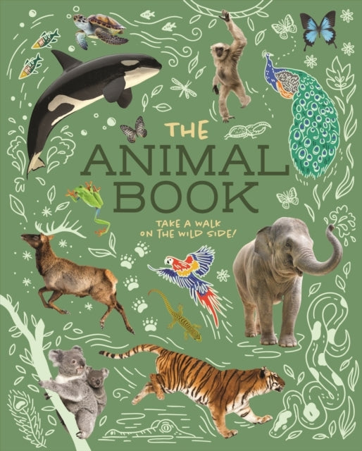 The Animal Book Take A Walk On The Wild Side!