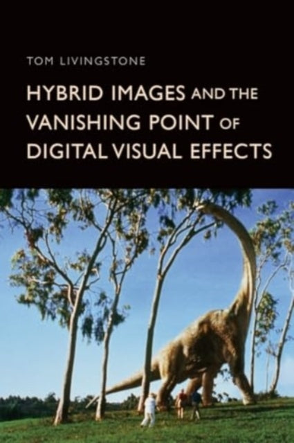 Hybrid Images and The Vanishing Point of Digital Visual Effe