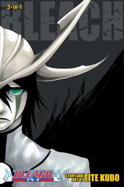 Bleach 3-in-1 Edition, Vol. 14