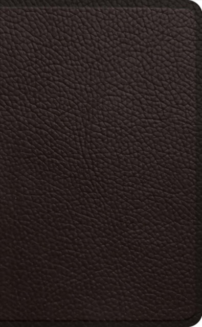 Esv Pocket Bible
