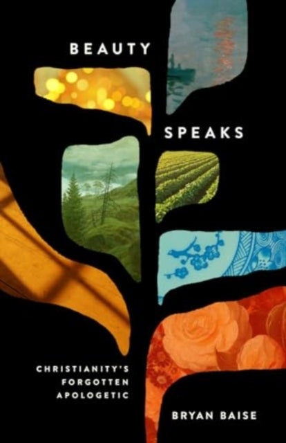Beauty Speaks Christianity'S Forgotten Apologetic