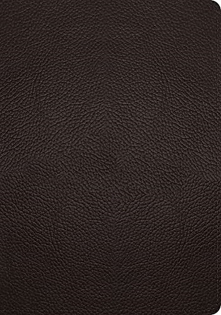 Esv Study Bible