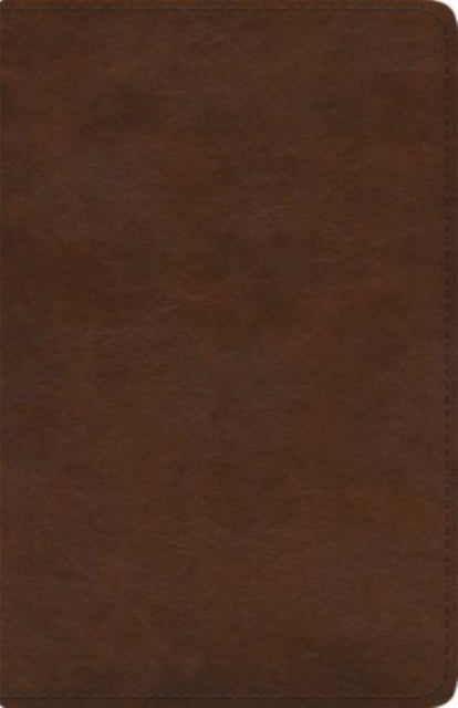 Esv Spanish/english Parallel Bible