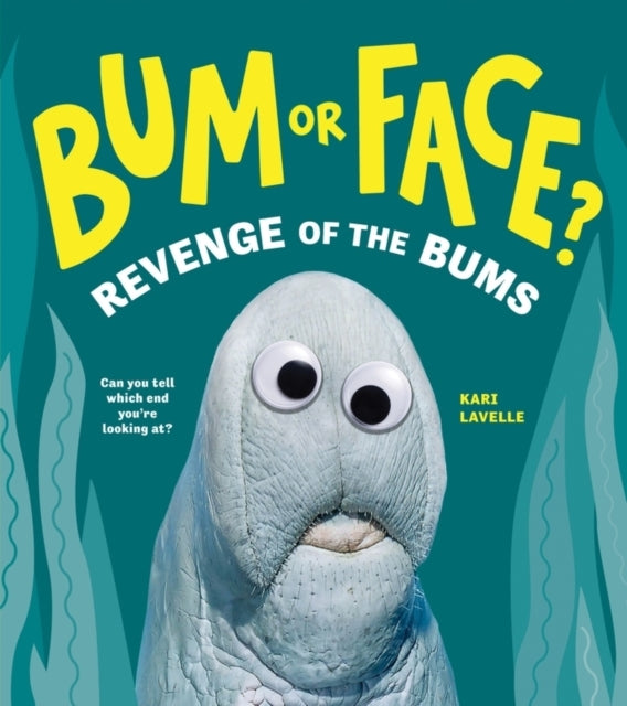Bum Or Face? Volume 2 Revenge of The Bums
