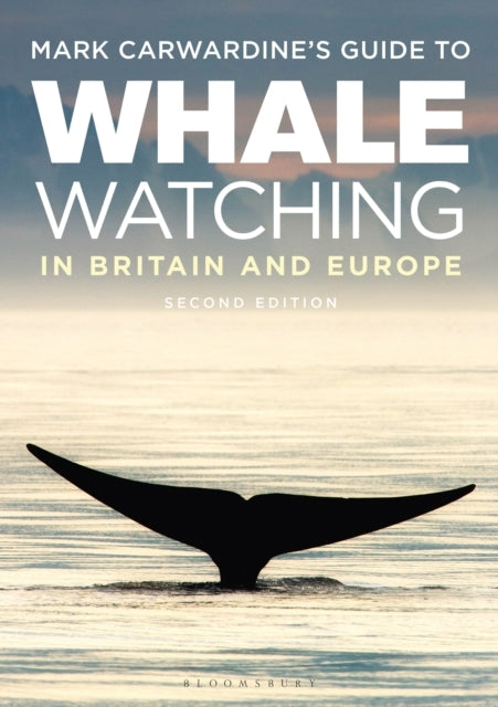 Mark Carwardine's Guide to Whale Watching in Britain and Eur