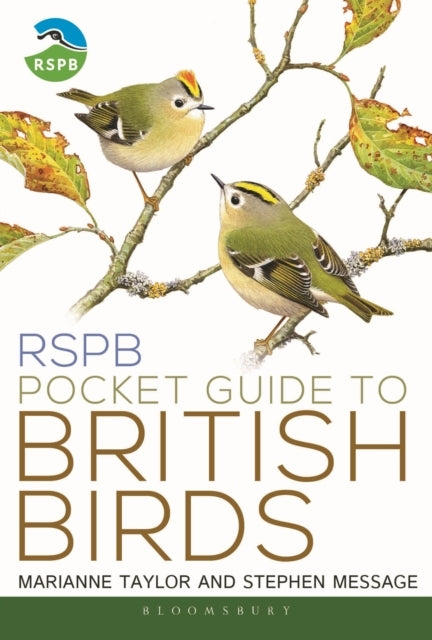 My First Book of Garden Birds