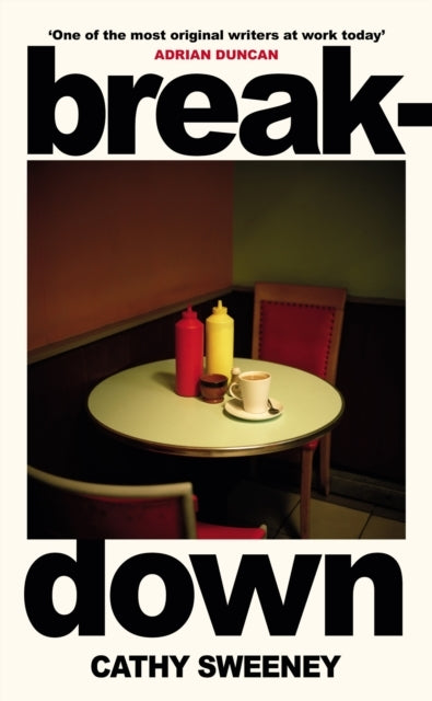 Breakdown The Humane Irish Bestseller About The Dark Side of Modern Motherhood