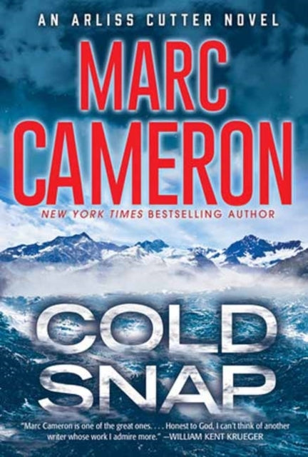 Cold Snap An Action Packed Novel of Suspense
