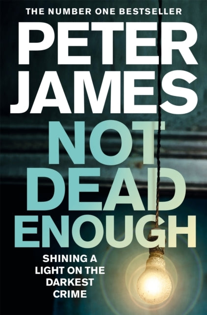 Not Dead Enough: a Roy Grace Novel 3