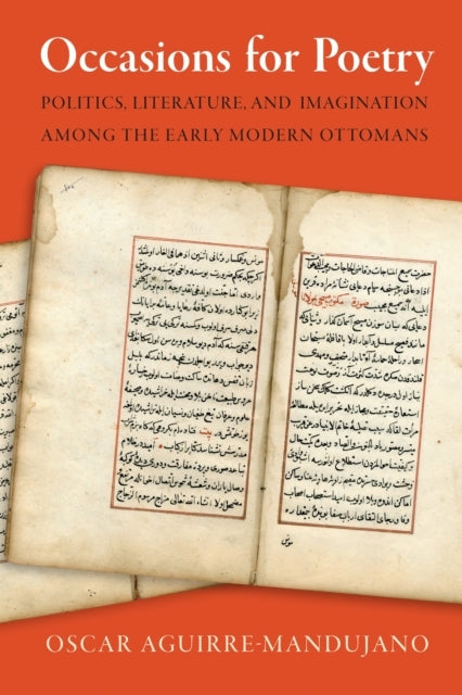 OCCASIONS FOR POETRY POLITICS, LITERATURE, AND IMAGINATION A