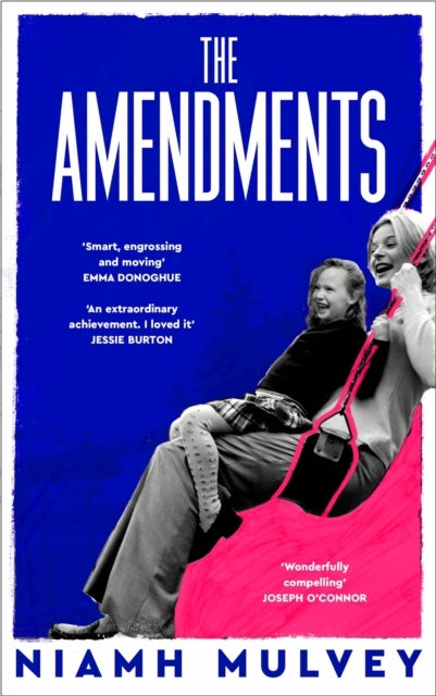 The Amendments The Instant Irish Bestseller About One Family Through The Generations