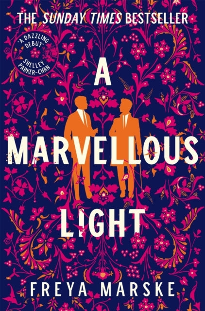 A Marvellous Lighta Dazzling Queer Romantic Fantasy
