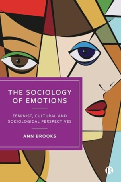 The Sociology of Emotionsfeminist Cultural and Sociological