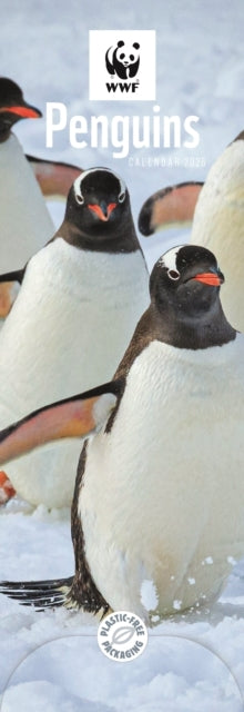 Wwf Penguins Slim Calendar 2025