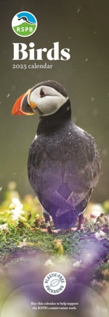 Rspb Birds Slim Calendar 2025