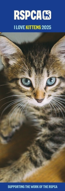 Rspca I Love Kittens Slim Calendar 2025