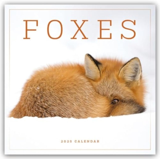 Foxes Square Wall Calendar 2025