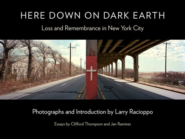 HERE DOWN ON DARK EARTH LOSS AND REMEMBRANCE IN NEW YORK CIT