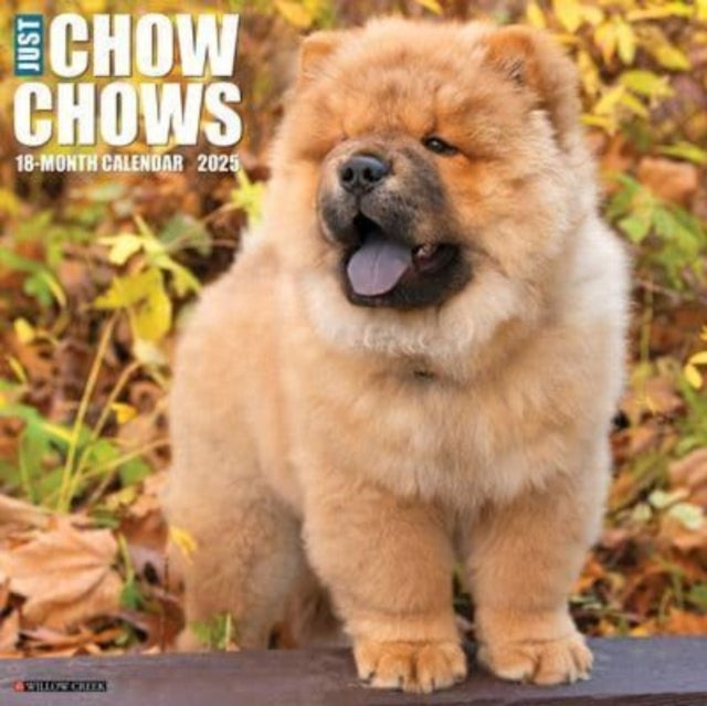 JUST CHOW CHOWS 2025 12 X 12 WALL CALENDAR