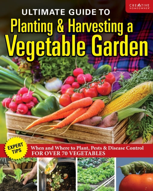 Ultimate Guide To Planting & Growing Vegetables At Home Expe