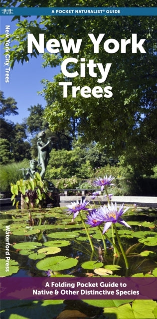 New York City Trees A Folding Pocket Guide To Familiar Trees