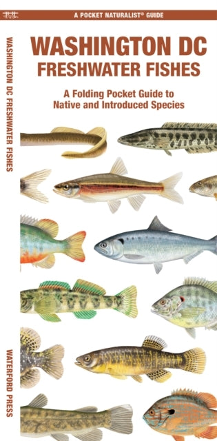 Washington Dc Freshwater Fishes
