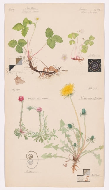Hilma Af Klint