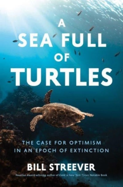 A Sea Full of Turtles The Search For Optimism In An Epoch of Extinction