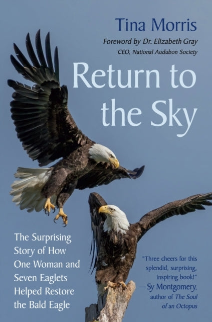 Return To The Sky The Surprising Story Of How One Woman And