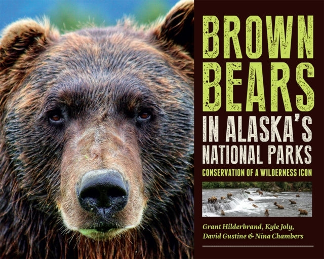 Brown Bears In Alaska'S National Parks Conservation Of A Wil
