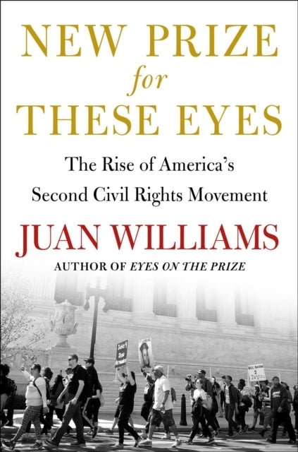 New Prize For These Eyesthe Rise Of America'S Second Civil R